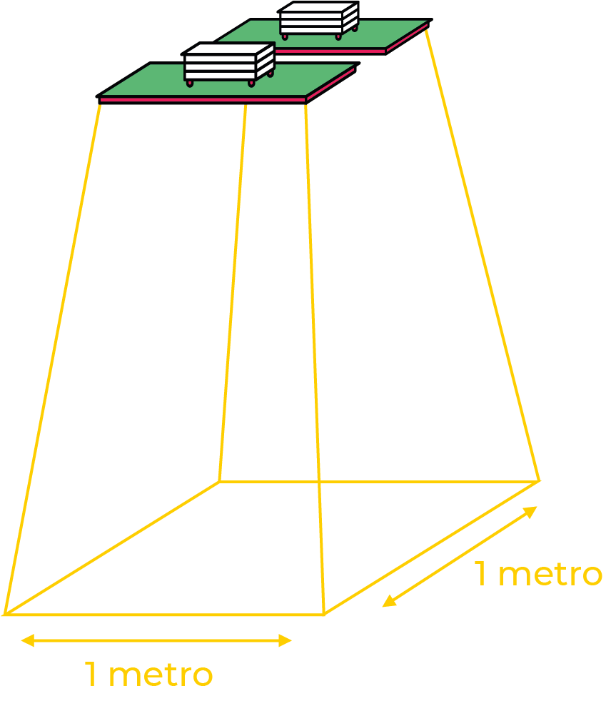 esquema the jackson distribucion