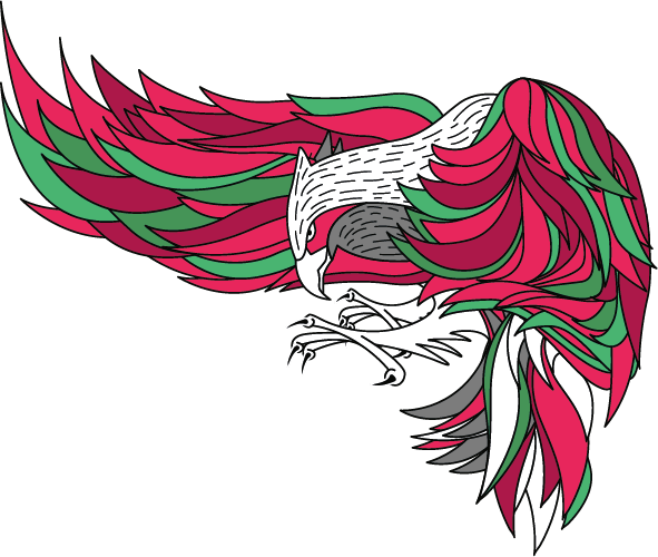 the eagle ilustracion rotada
