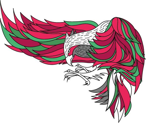the eagle ilustracion rotada
