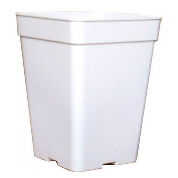 white square pot